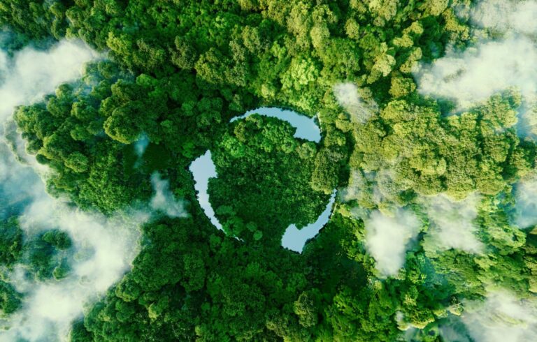 icon representing the ecological call to recycle and reuse